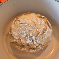 No-Knead Dutch Oven Herb Bread » Travel Cook Repeat image