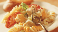 Cheesy Chicken and Rotini Casserole Recipe - BettyCroc… image