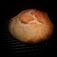 No Knead Italian Herb and Parmesan Bread - Cuisine Cap… image